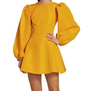 ALIÈTTE bc Lace-Up Back Silk Faille Minidress sz2